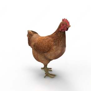 现代鸡3D模型下载